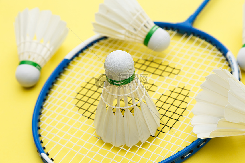 泰山队的表 泰山队的表