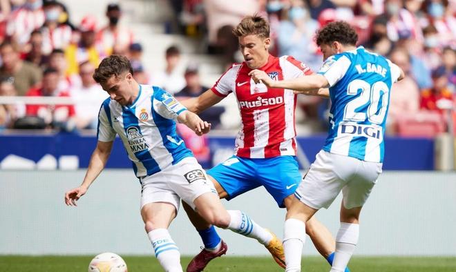 中国女排的 中国女排的