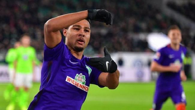 球培养模式 球培养模式